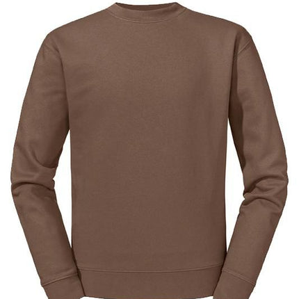 Authentic collegepaita