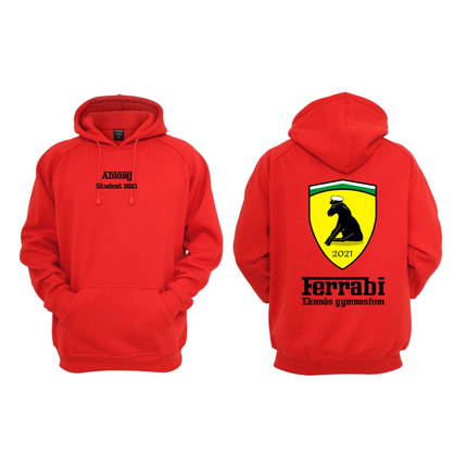 Demokoulu - OPO huppari